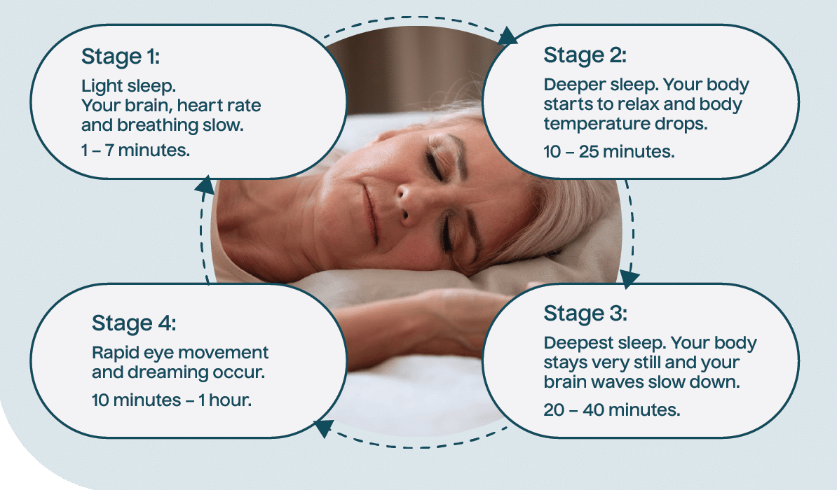 sleep cycle